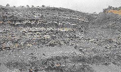 鍵層の例。美祢の石炭層の写真。