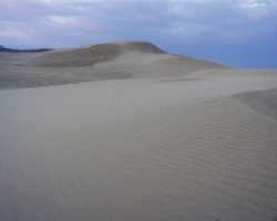 鳥取砂丘の写真。砂丘の起伏と風紋