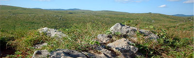 秋吉台カルスト台地の風景写真。石灰岩柱とドリーネ