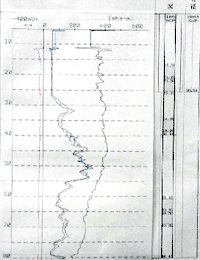 電気検層・温度検層測定事例グラフ