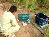 写真-1　電気伝導度・p.H観測状況